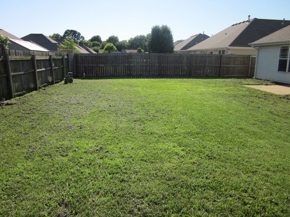 1210 Liberty back yard