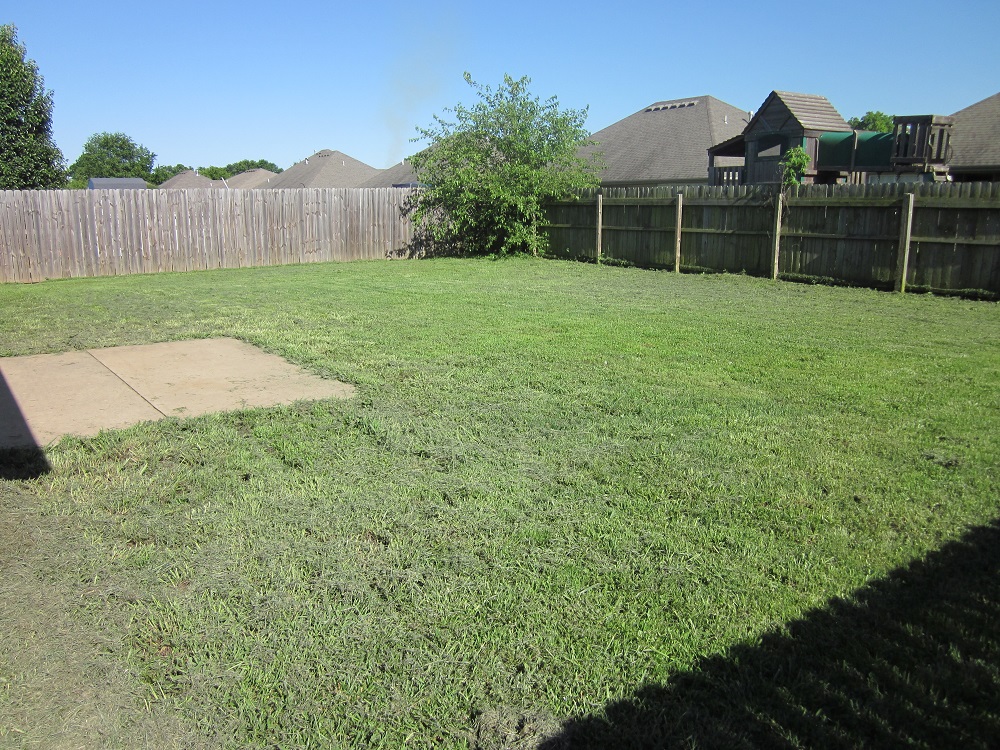 1210 Libery back yard